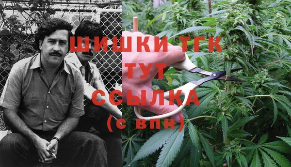 мет Аркадак